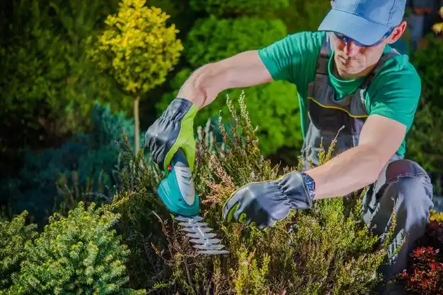 landscaping services Breaux Bridge